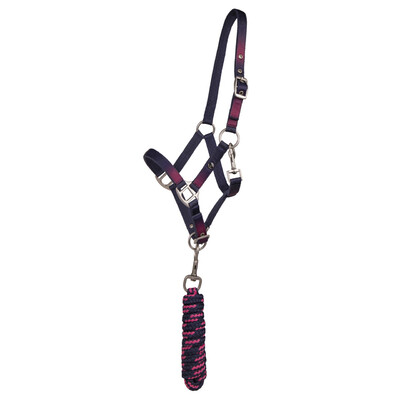 QHP Halfter-Set Jaily