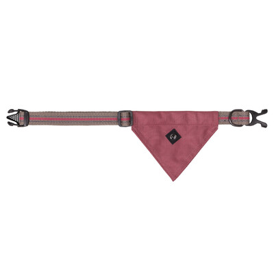 QHP Hundehalsband mit Bandana Collection
