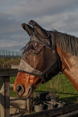 Harry's Horse Fliegenmaske Flyshield, bamboo-lining