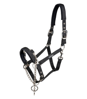Waldhausen Halfter Pro Safety