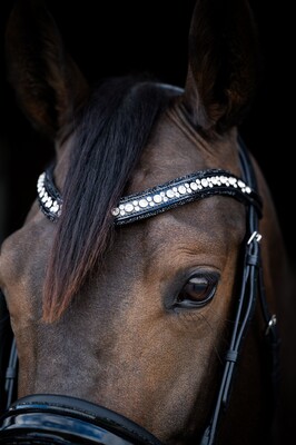 HB Showtime Trense Stockholm Special A-pony