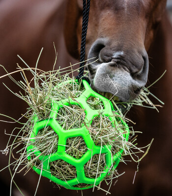 Waldhausen Heuball Green