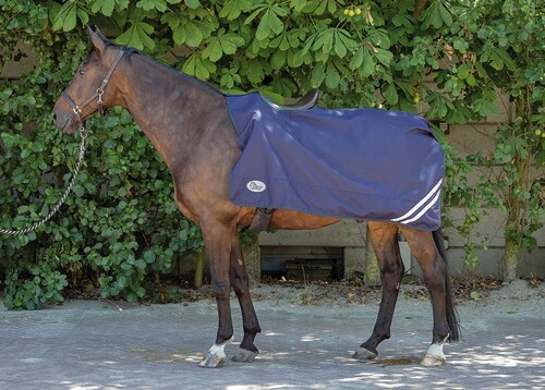 Harry's Horse Ausreitdecke 0gr wasserdicht