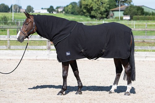Harry's Horse Fleece Decke mit aufrollende Hals