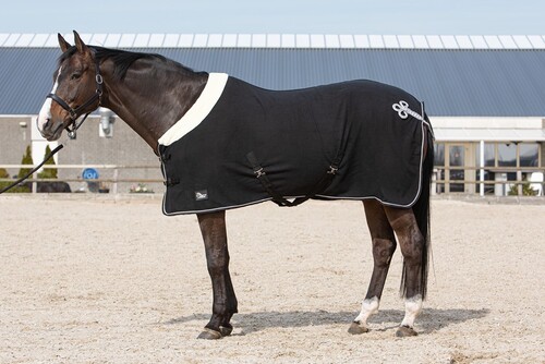 Harry's Horse Fleecedecke Champion