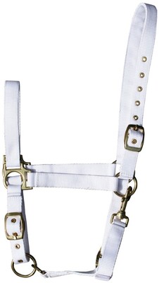 Harry's Horse Halfter 3x verstellbar