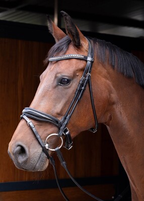 Harry's Horse Trense Rundgenäht Lacque