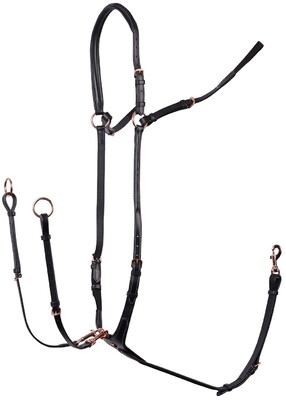 Harry's Horse Vorderzeug Rosegold