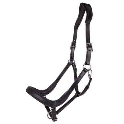 QHP Halfter Salerno anatomisch