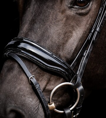 HB Showtime Anatomischer Lack Nasenband