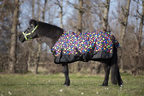 DKR Sports Mini Winterdecke 100grs für Pony's