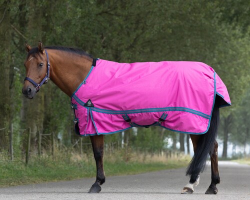 DKR Sports Mini Winterdecke 200grs für Pony's