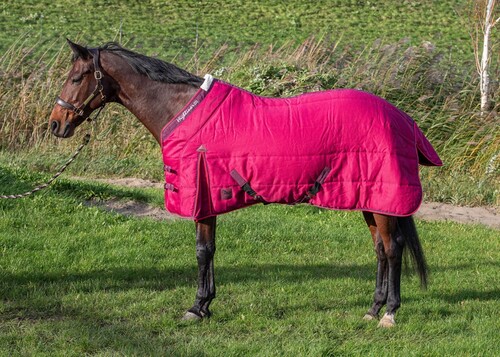 Harry's Horse Stalldecke Highliner 200gr