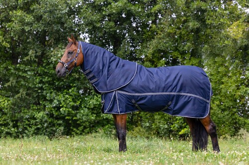 DKR Sports Mini Winterdecke 300grs Mit Abnehmbar Halsteil