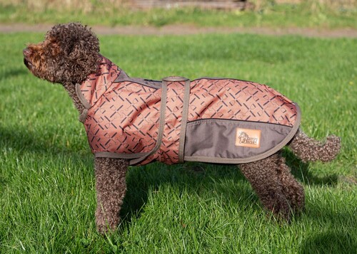 Harry's Horse Hundedecke Twotone