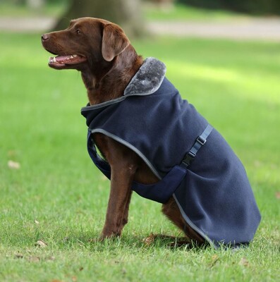 Bucas Show-Line Hundedecke