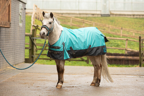 Harry's Horse Regendecke STOUT! Beryl 0gr