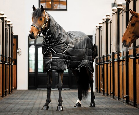 Horseware Easy-Layer Plus Stall- und unterdecke 200gr
