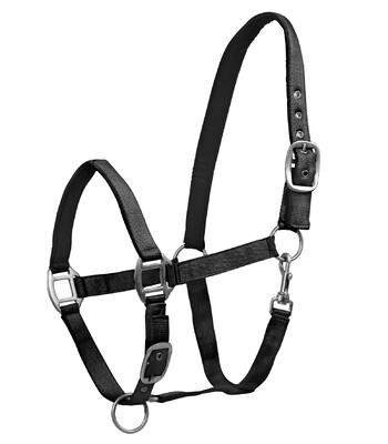 Waldhausen Halfter Satin
