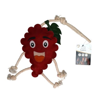 Excellent Pferdespielzeug Raspberry