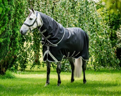 Horseware Amigo Bravo 12 Plus Medium 250grs