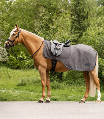 Waldhausen Comfort Fliegen-Ausreitdecke