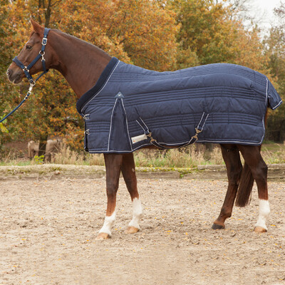 Waldhausen Comfort Stalldecke 100gr