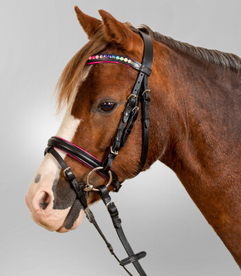 Waldhausen Star Trensenzaum Pinky
