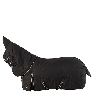 BR Turnout Rug Combo Z3 1200D, 100-200-300g
