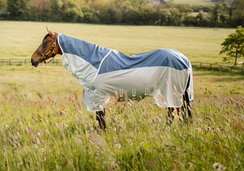 Horseware Amigo AmECO Combi Regen- und Fliegendecke