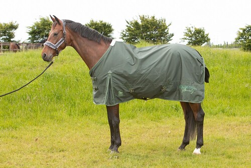 Harry's Horse Regendecke 0gr Thor