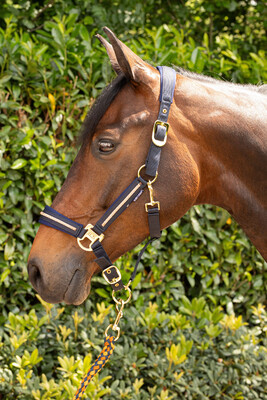 Harry's Horse Halfterset Valli