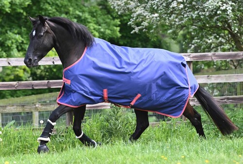 Bucas Freedom Turnout Light Regendecke