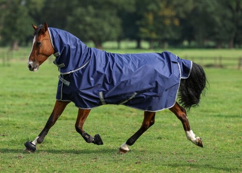 Bucas Freedom Turnout 100gr & neck