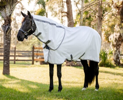 Horseware Amigo Summer Sheet Plus Sommerdecke