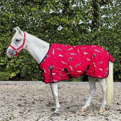 DKR Sports Mini Regendecke Luxus mit Fleece-lining