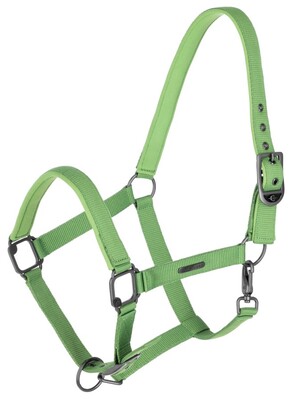 Covalliero Halfter 