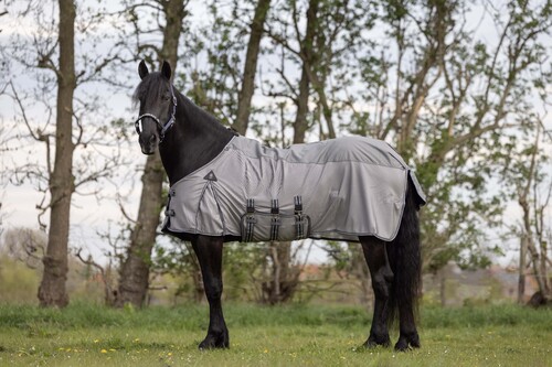 DKR Sports Combo Decke Summer Rain Big Neck
