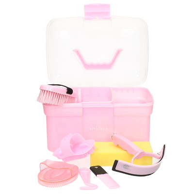 Putzbox Deluxe mit Bürstenset