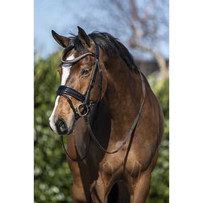 Horsegear Trensenzaum HGBlush