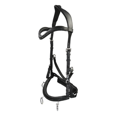 Free Horse Leder-Kappzaum