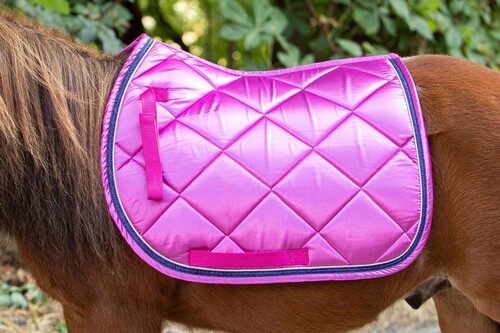 Harry's Hoprse Schabracke Diva Violet