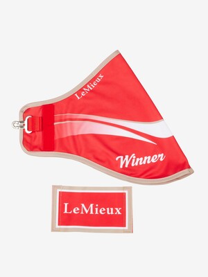 LeMieux Hobby Horse Siegerdecke