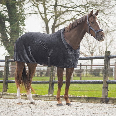 QHP Abschwitzdecke Sensisoft