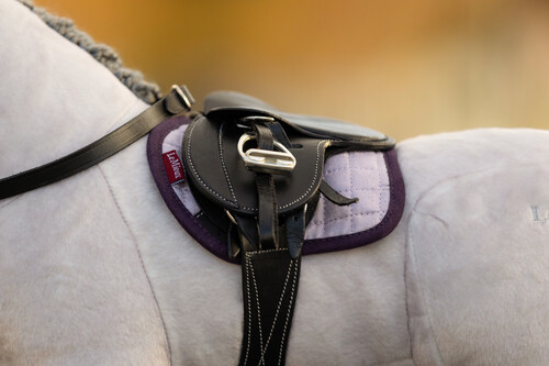 LeMieux Toy Pony Schabracke
