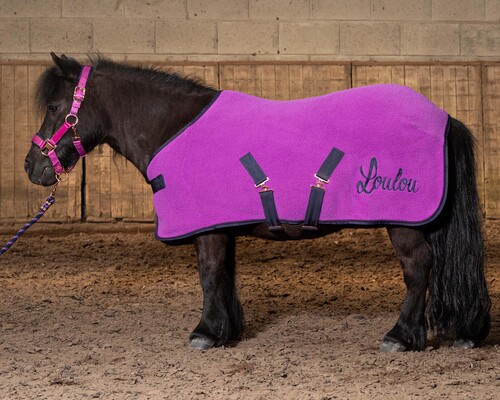 Harry’s Horse Fleecedecke LouLou Quinn