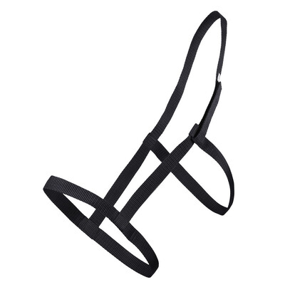 Weidehalfter