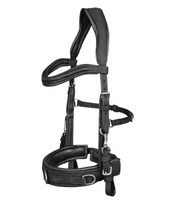 Waldhausen Lederkappzaum Anatomic