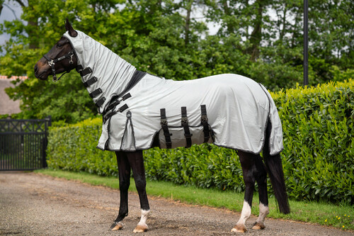 PresTeq Fliegendecke SmartProtection