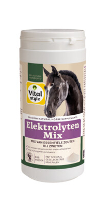 VITALstyle ElektrolytenMix